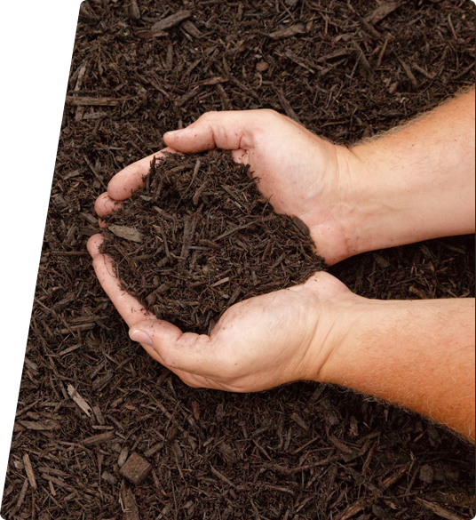 A person holding their hands over mulch