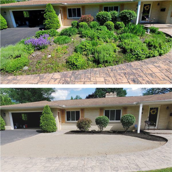 A before and after photo of a driveway with plants.