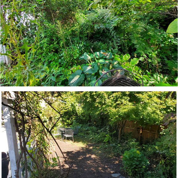 A before and after picture of the same area.