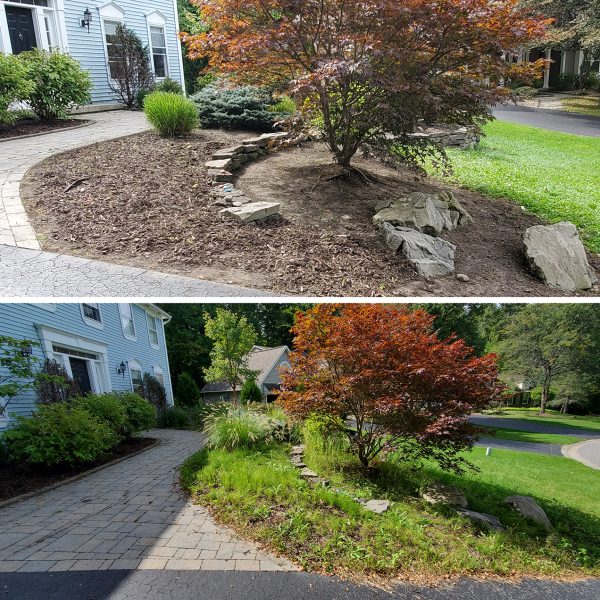 A before and after picture of a garden.