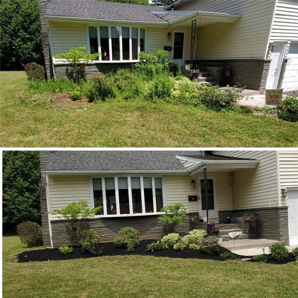 A before and after picture of the front yard.