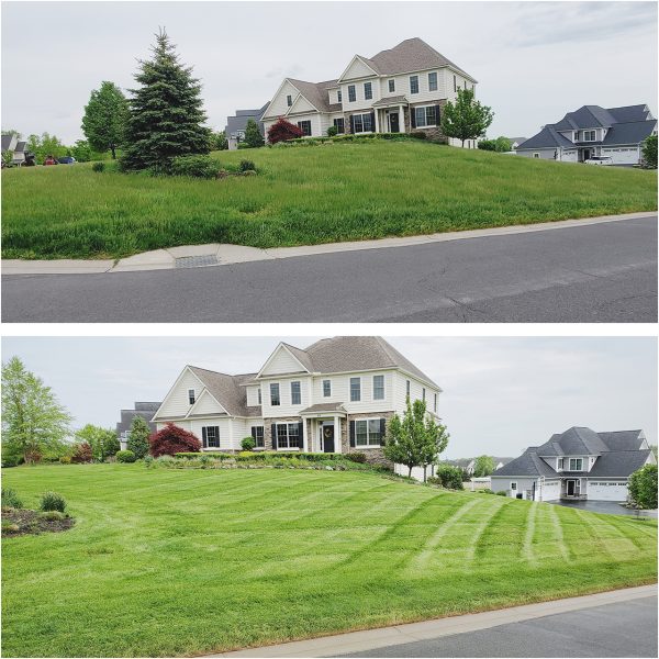 A before and after photo of a house with grass growing on it.