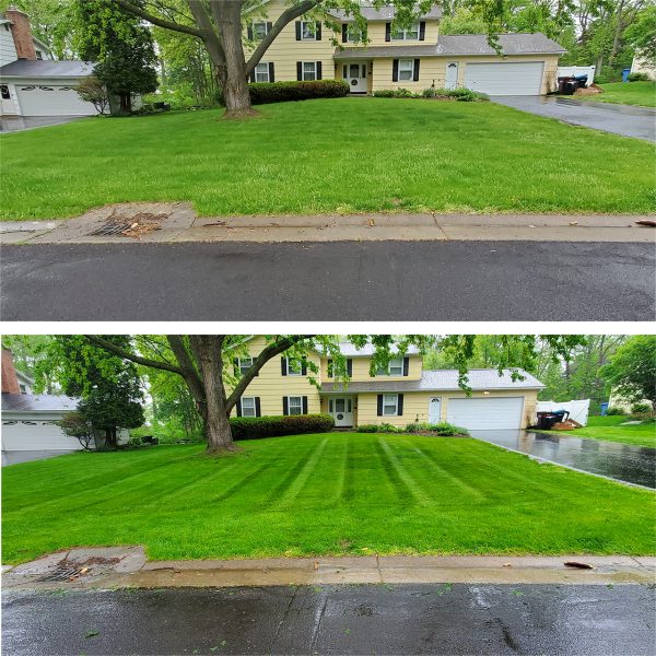 A before and after picture of the same lawn.